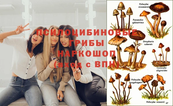 мескалин Гусь-Хрустальный