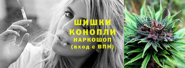 прущие грибы Гусиноозёрск