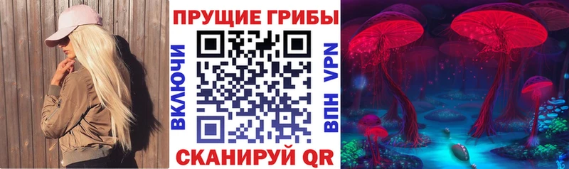 Галлюциногенные грибы Magic Shrooms  Камешково 